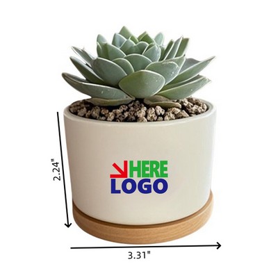 Mini Succulent Planter Pot with Bamboo Tray