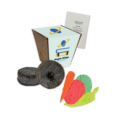 Jumbo Planting Kits with Paper Wrap - Vegetables/Herbs