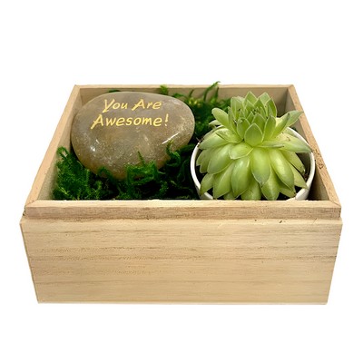 You are Awesome Succulent Gift Box