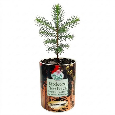 Redwood Garden in Eco-Friendly Grocan