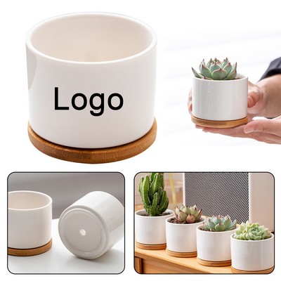 White Small Succulent Planter Pots with Drainage and Tray