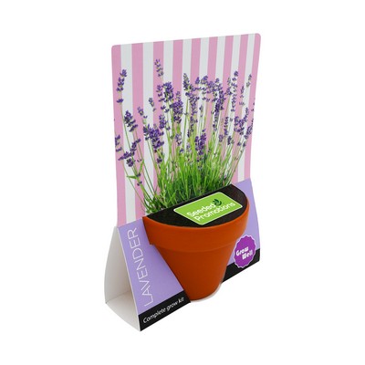 Terracotta Grow Kit - Grow Well