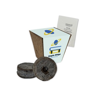 Jumbo Planting Kits with Paper Wrap - Pumpkin