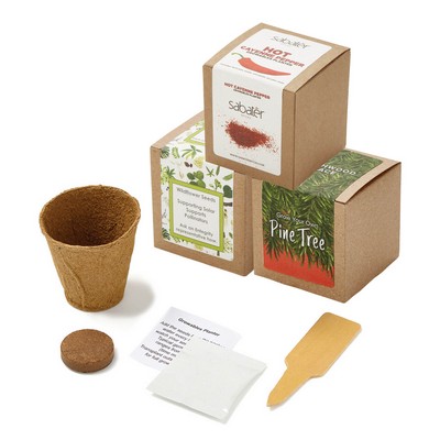 Growables Planter in Kraft Gift Box (Custom)