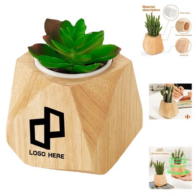 Solid Wood Succulent Flowerpot