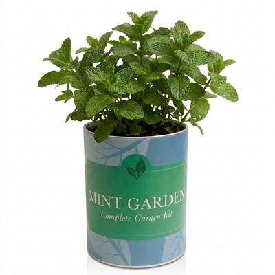 Mint Garden in Eco-Friendly Grocan