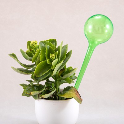 Small size PVC Self-Watering Globes